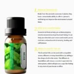 微信图片 20251030140958 2016 8